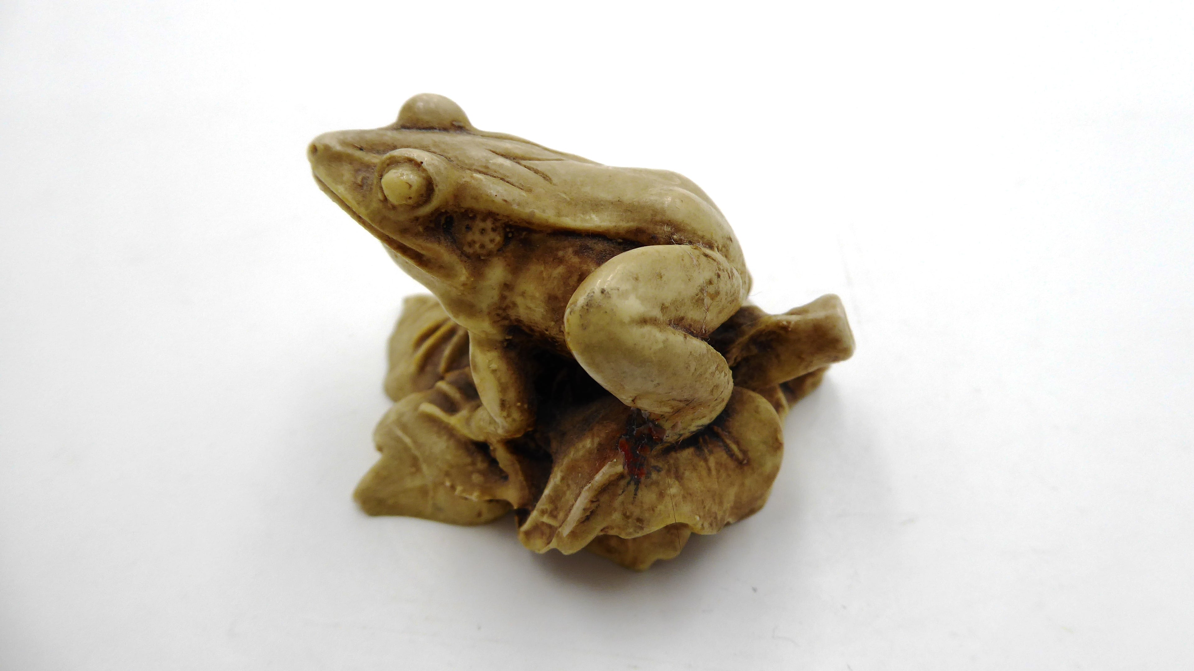 Grenouille sur nénuphar composite clair