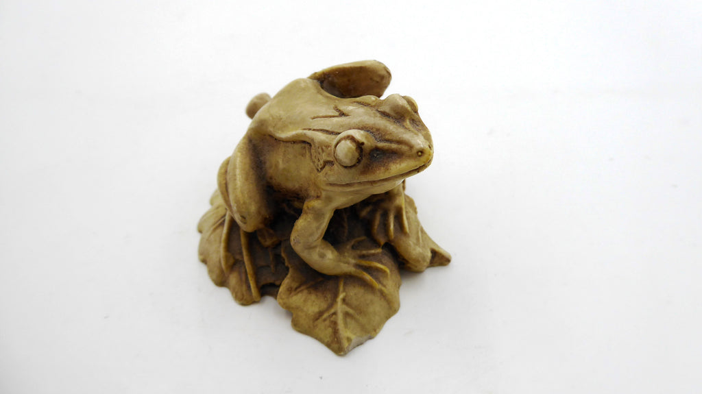 Grenouille sur nénuphar composite clair