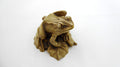 Grenouille sur nénuphar composite clair