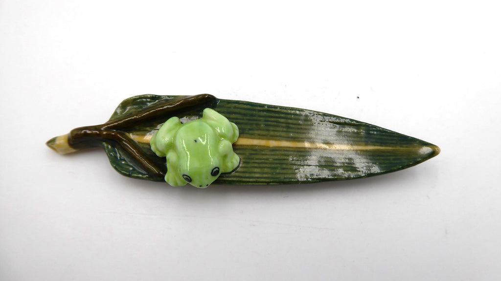 Petite grenouille sur un nénuphar qui est en forme de surf