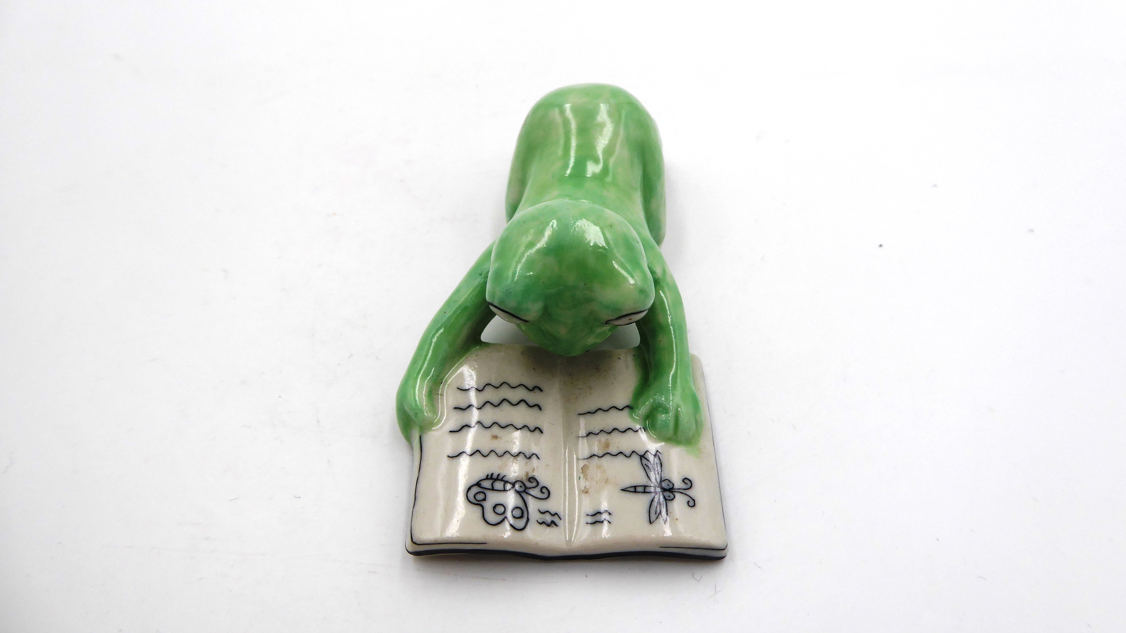 Grenouille lisant un livre