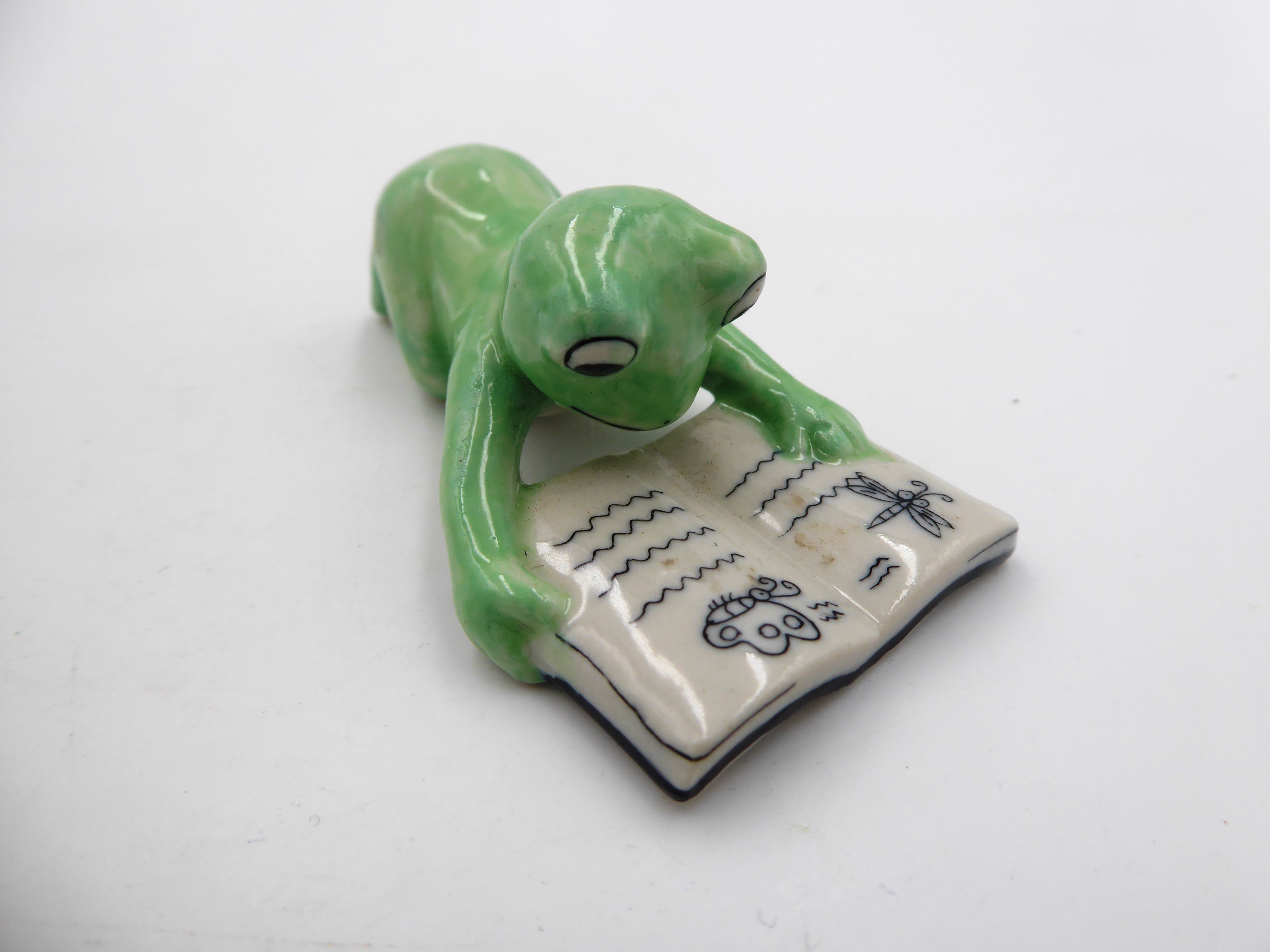 Grenouille lisant un livre