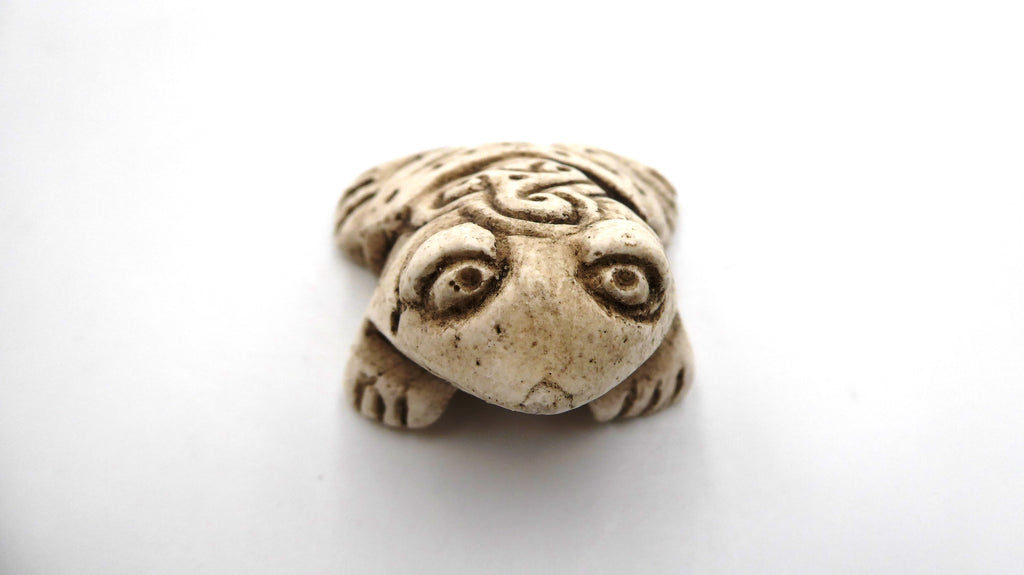 Petite grenouille blanchie