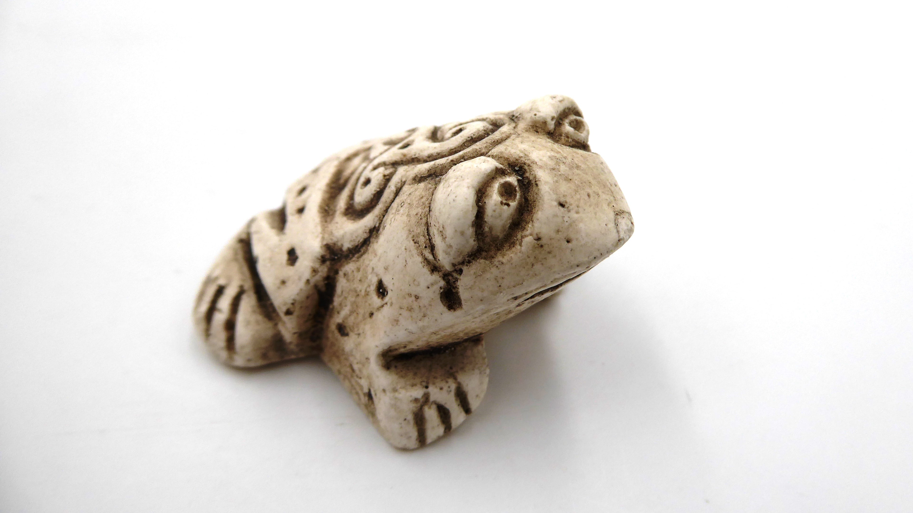 Petite grenouille blanchie