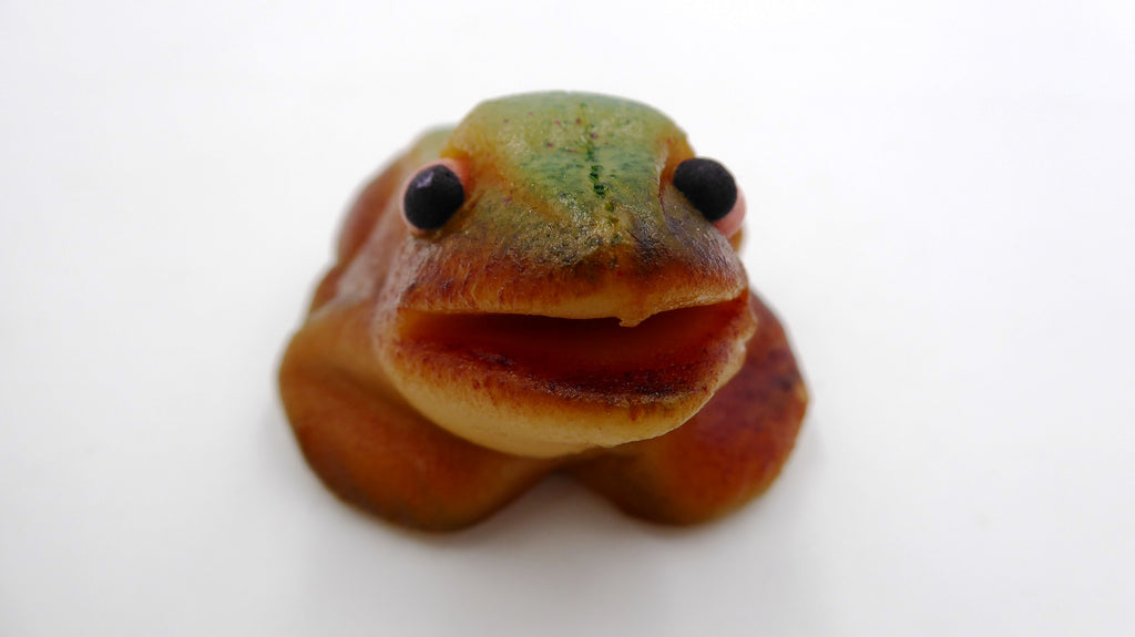 Grenouille en pâte de sel au jolies couleur