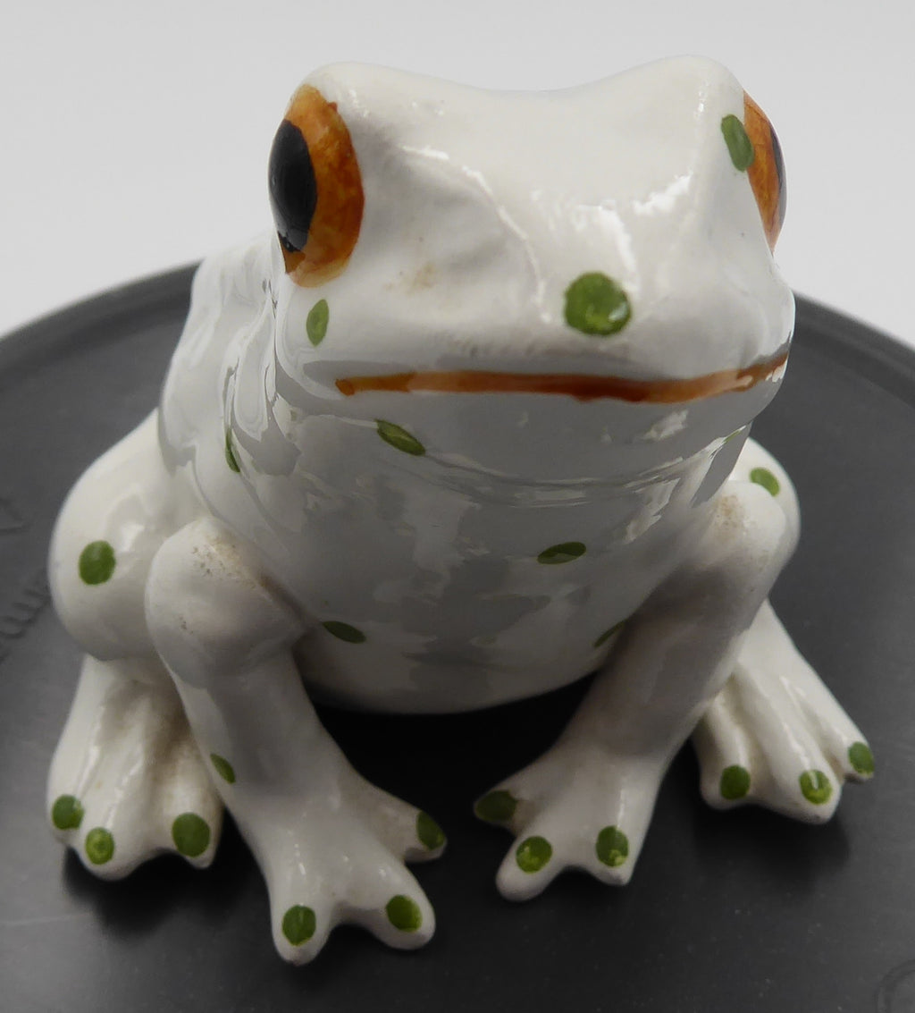 Grenouille en céramique blanche à pois verts