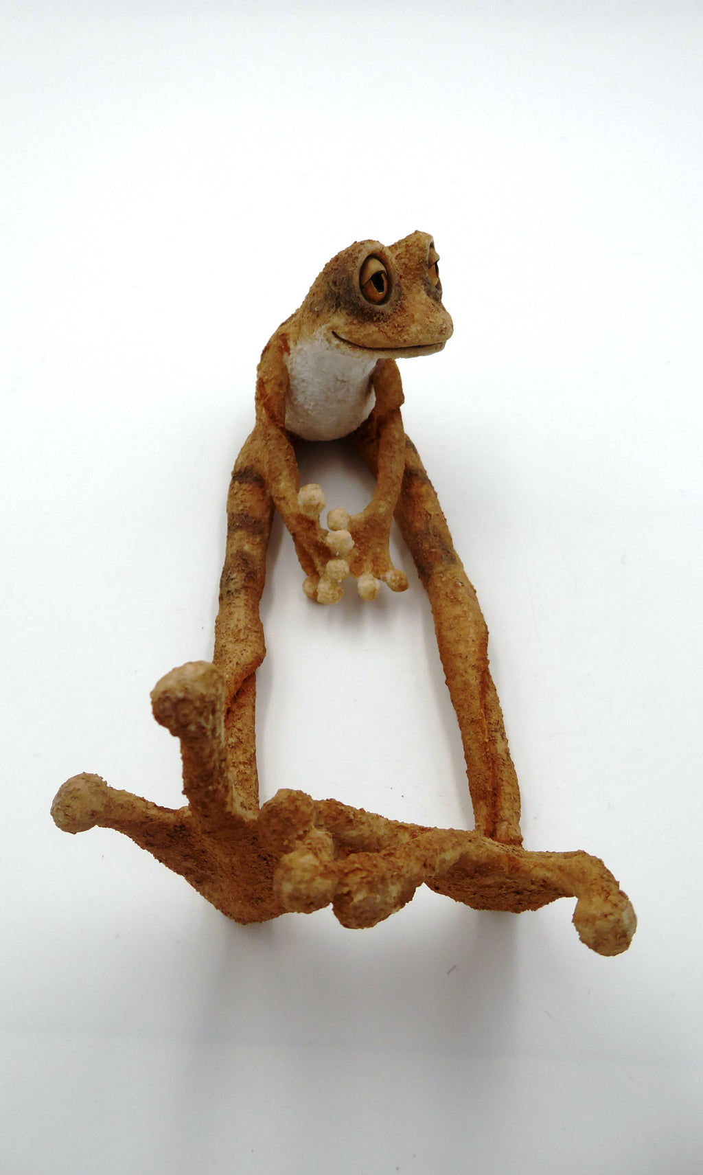 Originale grenouille aux longues pattes