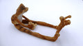 Originale grenouille aux longues pattes