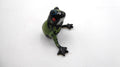 Belle petite grenouille céramique peinte