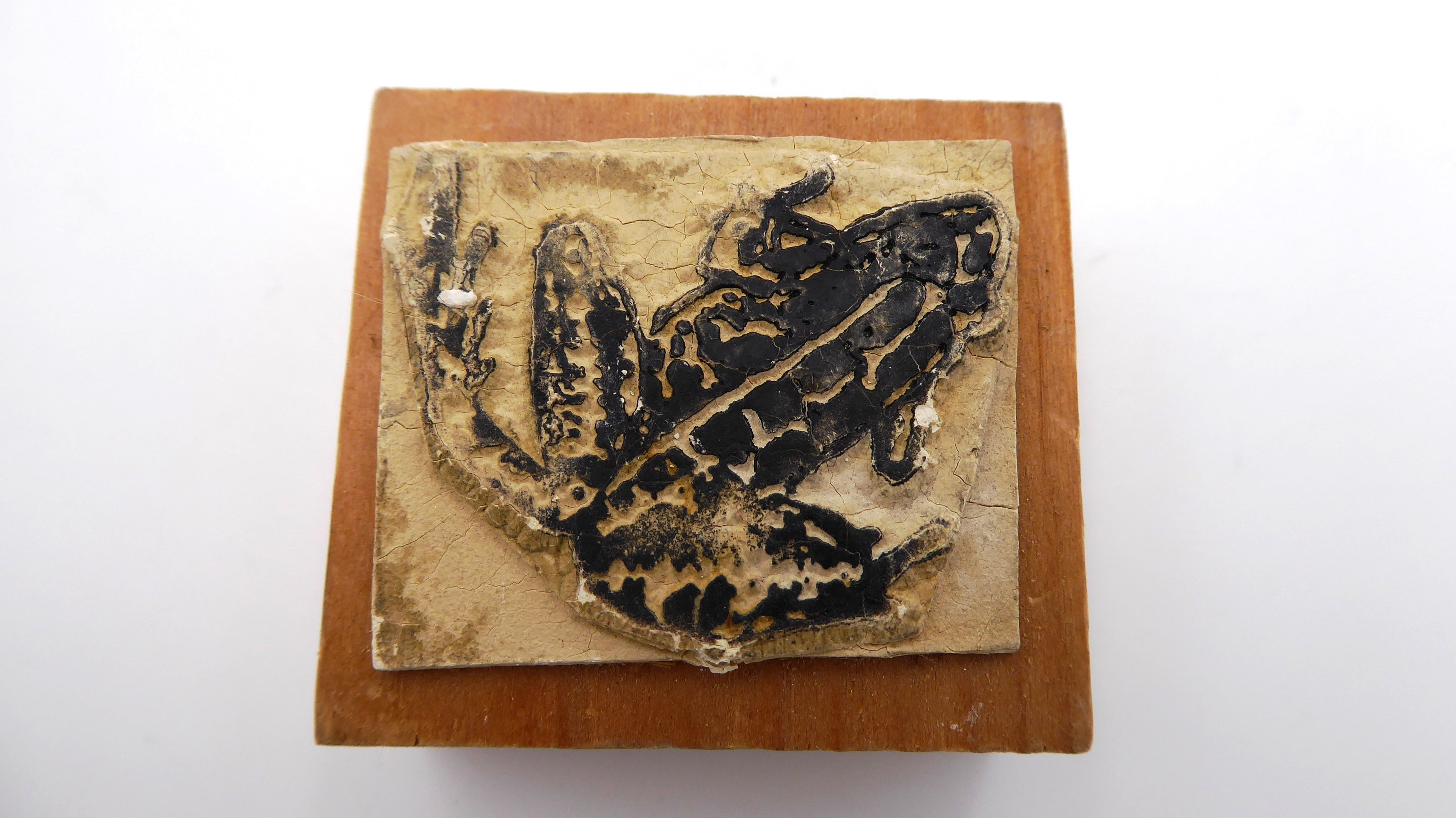 Cachet grenouille