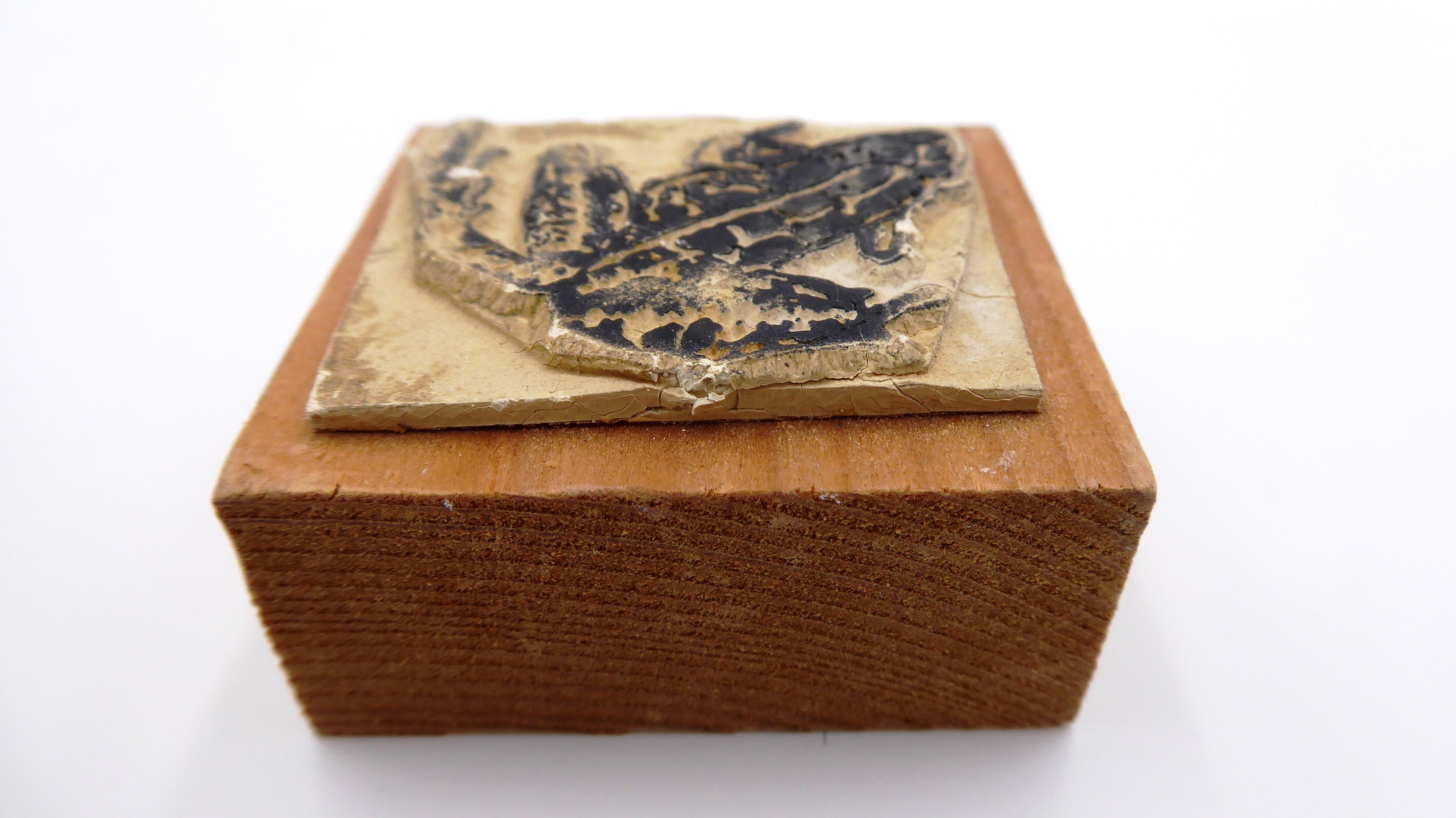 Cachet grenouille