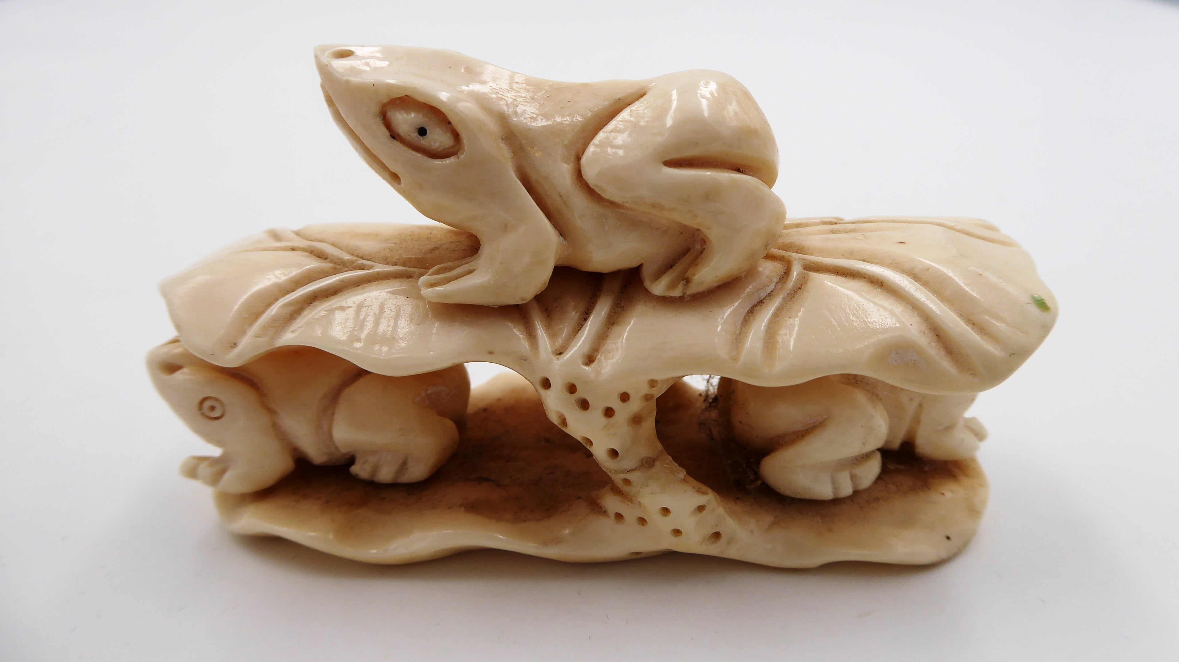 Metsuke en ivoire trois grenouilles sur des nénuphars (Fabriqué avant 1947)