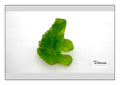 Petite grenouille DAUM verte
