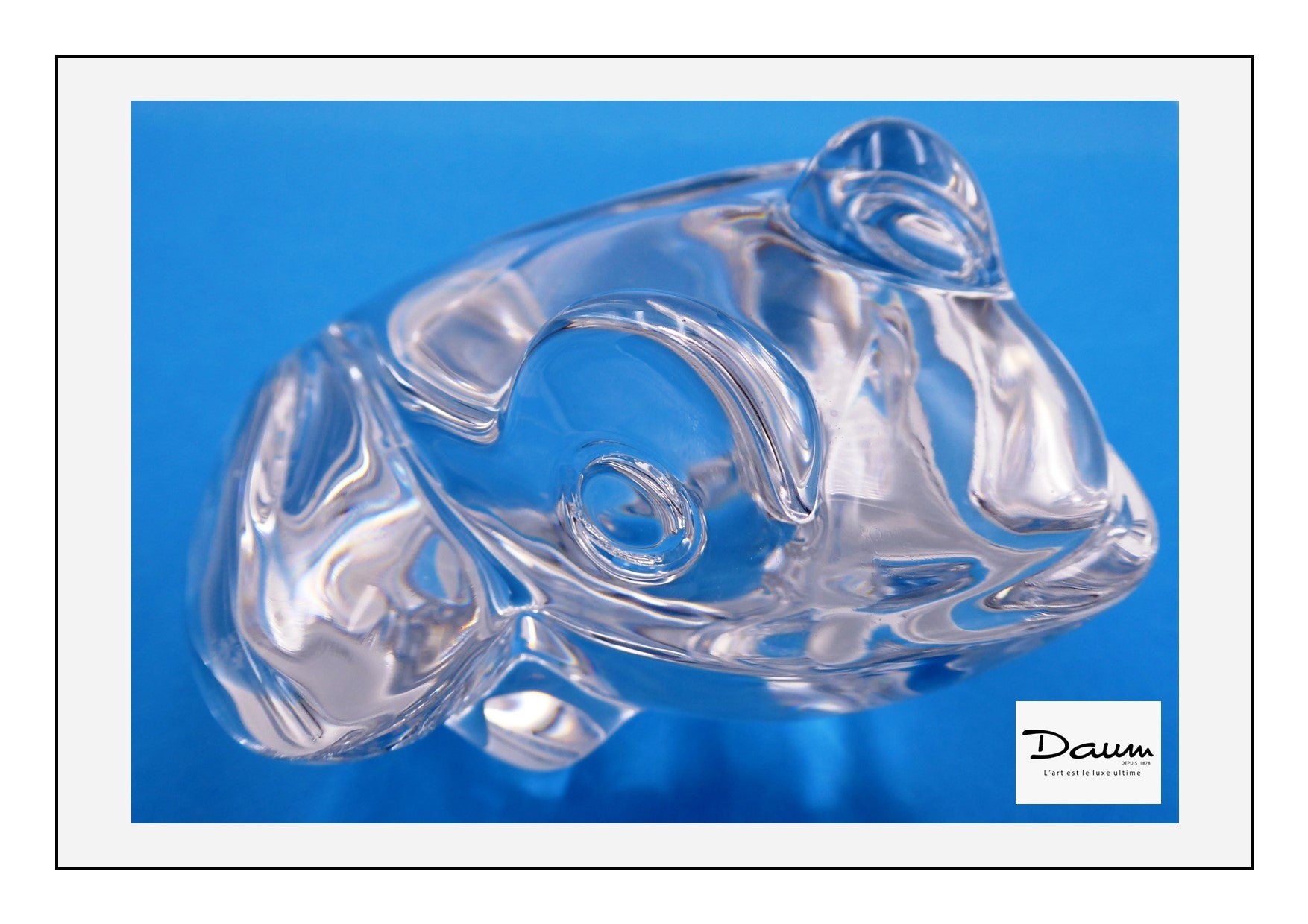 Grosse grenouille DAUM en cristal clair (Modèle assez rare dans cette teinte)