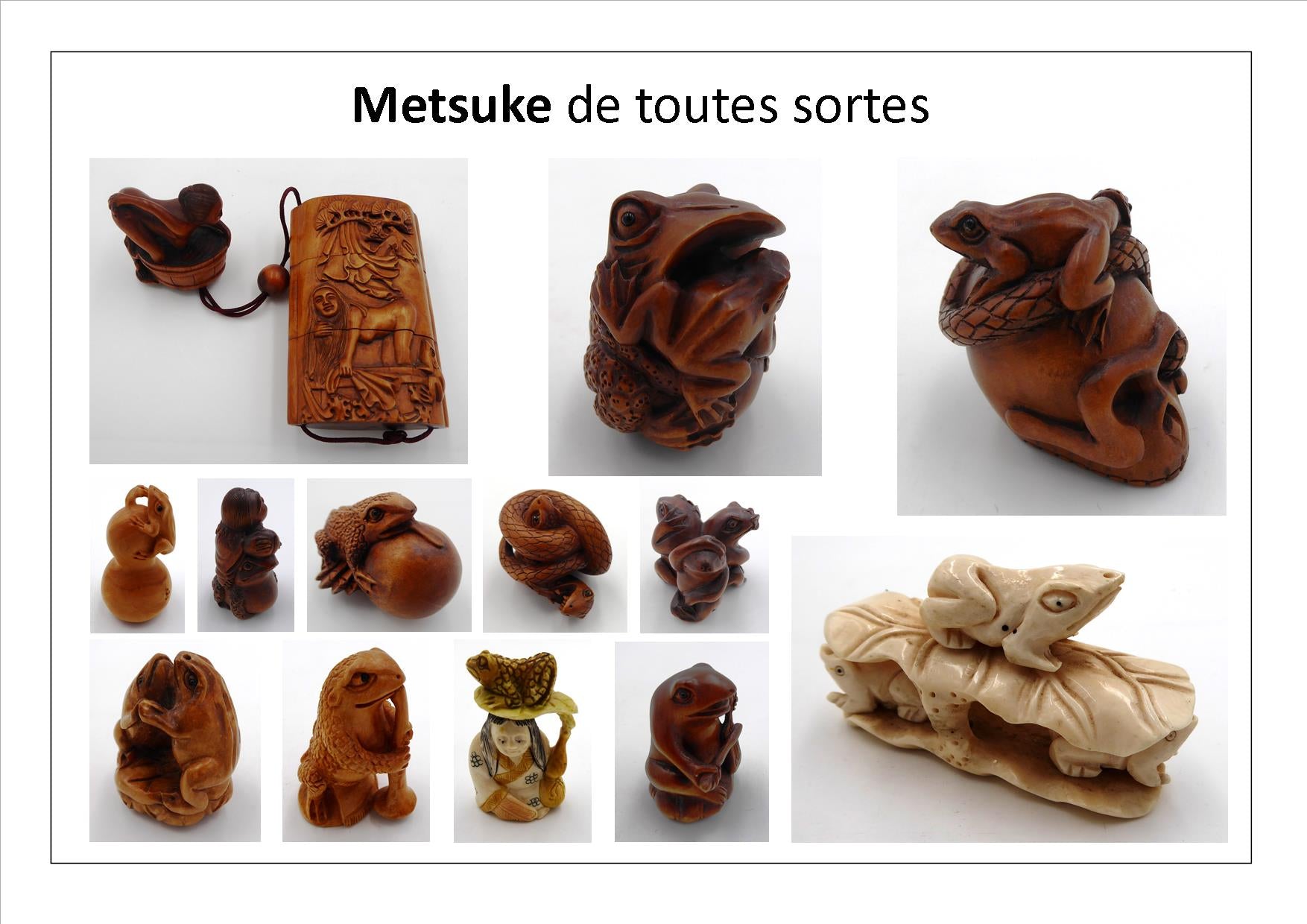 Page d'accueil Metsuke site GRENOUILLES DU MONDE