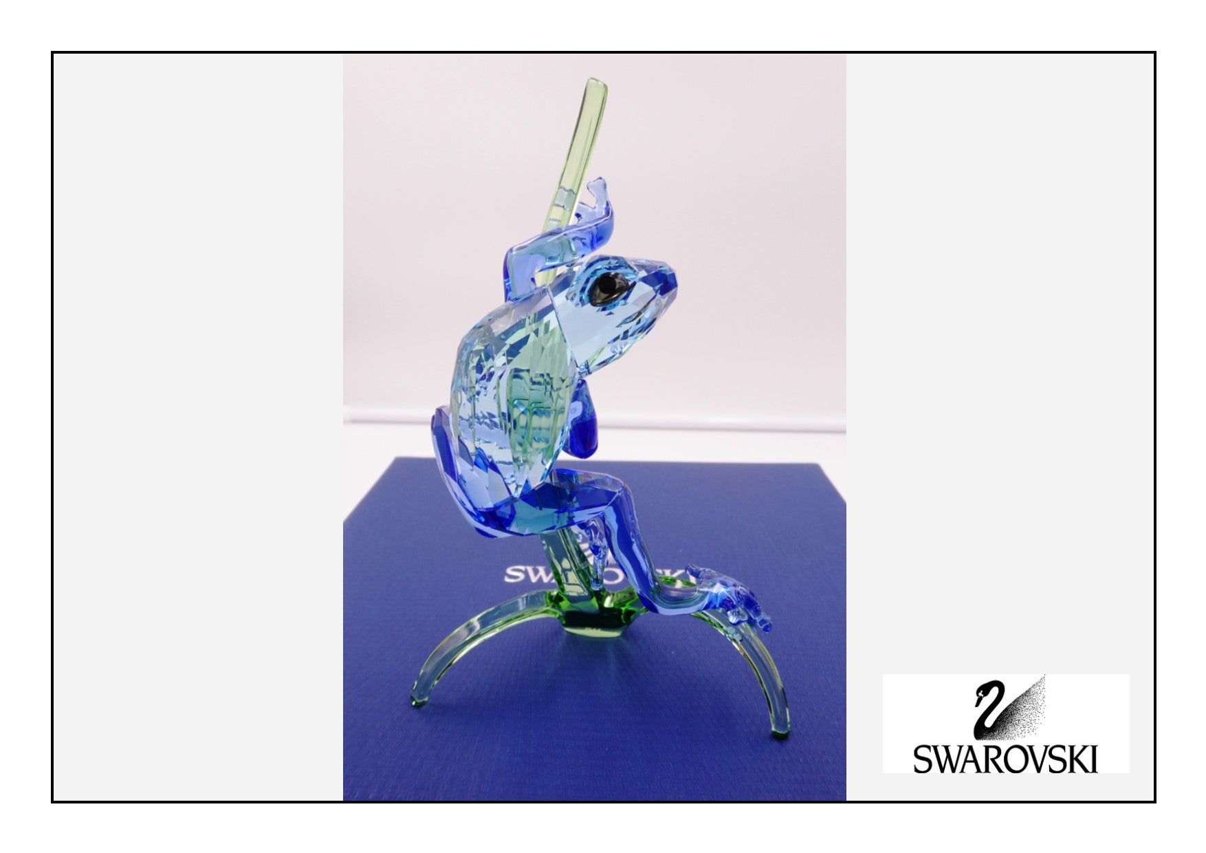 Grenouille sur la branche de SWAROVSKI